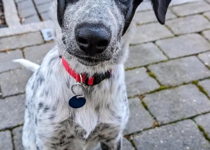 Апартаменты Grosse Schoenheit Mit Panoramablick